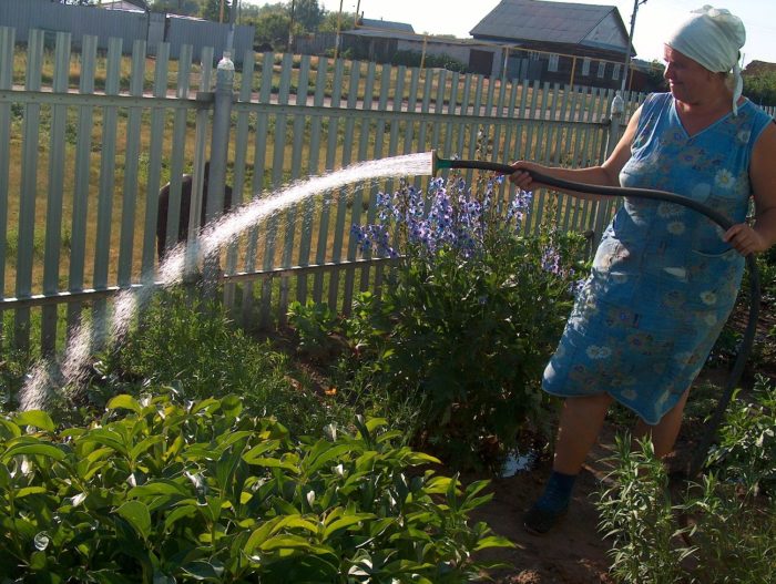 правила использования воды для садоводов