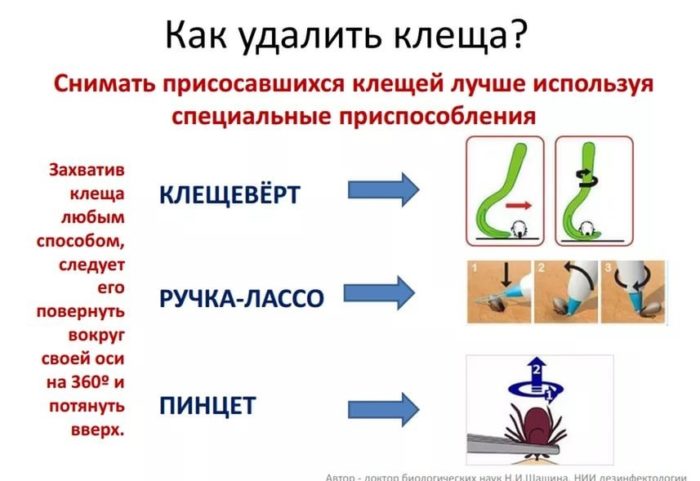 как вытащить клещя