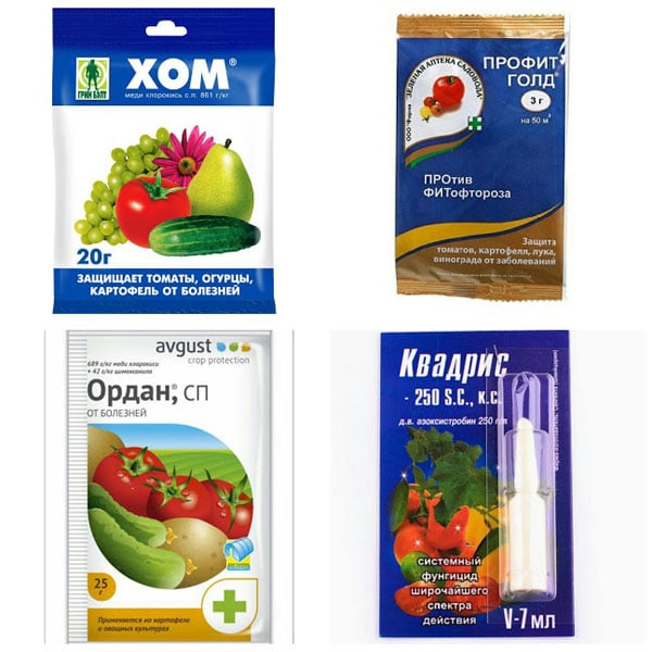препараты от фитофторы