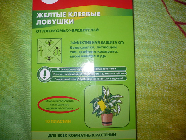 липучки для мушек в горшках