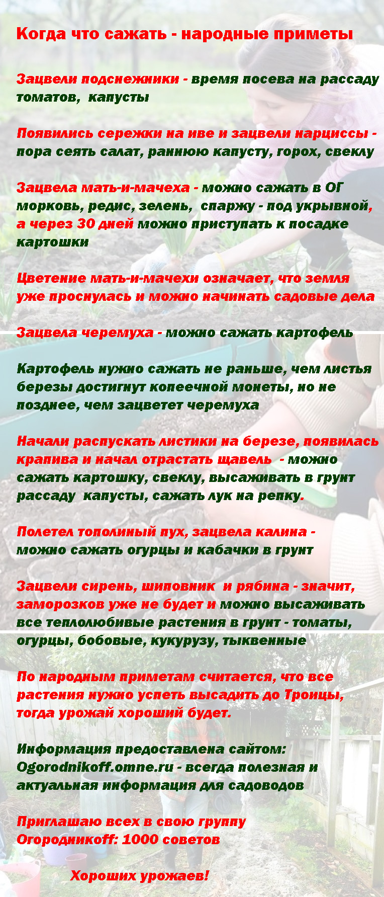 когда можно сажать и сеять