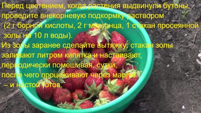 раствор борной кислоты