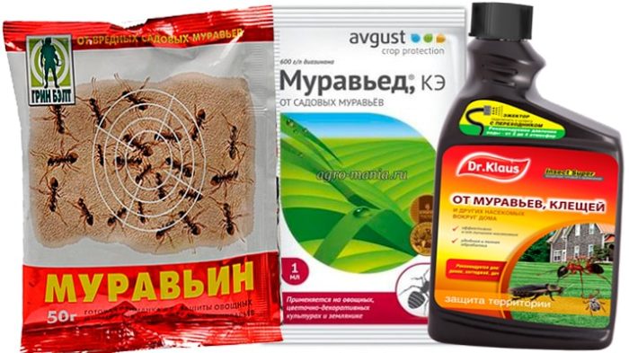 препараты от муравьев