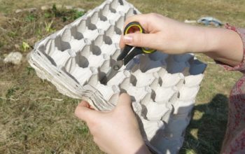 Яичные лотки на даче