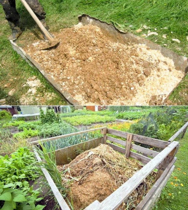 опилки в компостной куче