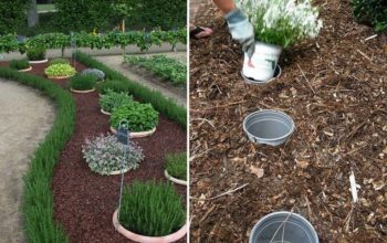 секреты для дачника