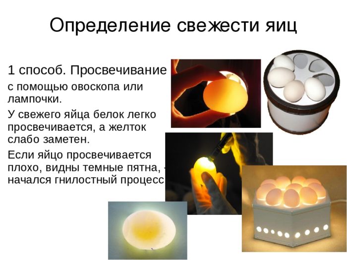 просвечиваем яйцо лампой