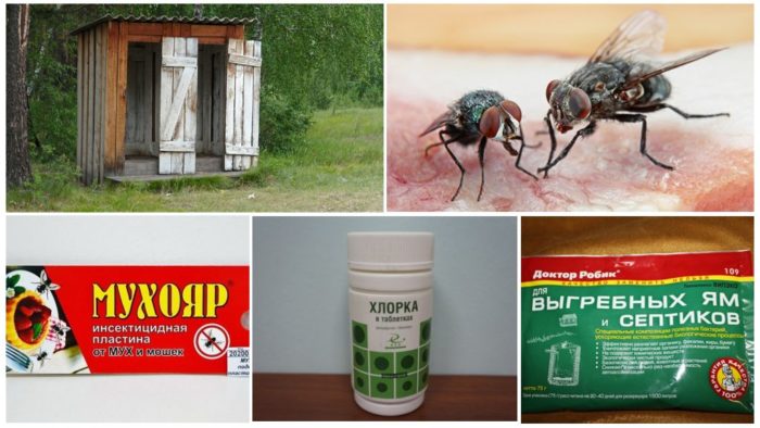 дезинфекция выгребных ям