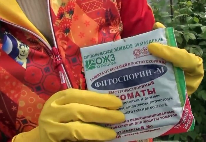 фитоспирин от фитофторы