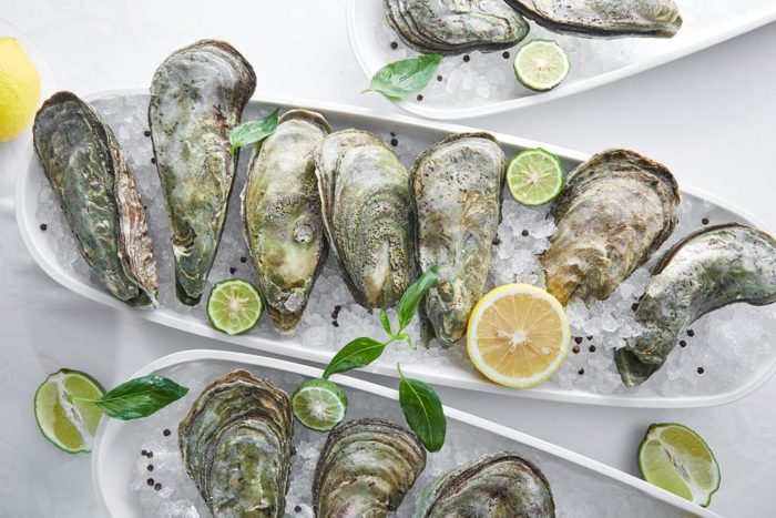 морские устрицы
