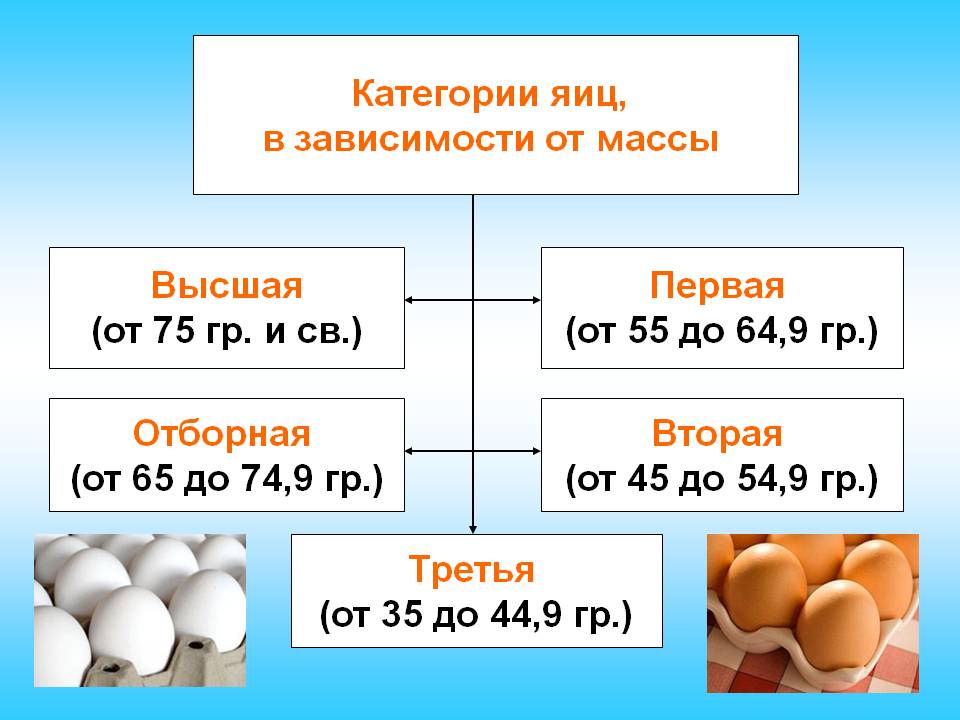 Маркировка и категории куриных яиц