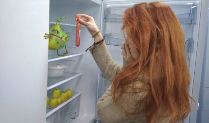 причины появления запаха в холодильнике