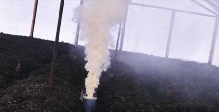 окуривание растений табачной пылью