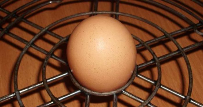 Варим яйца в аэрогриле