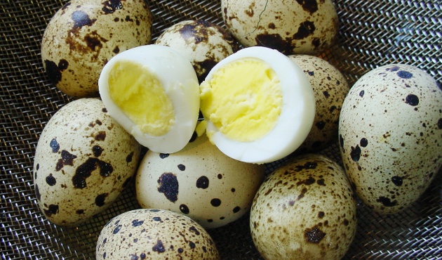 сколько варить перепелиные яйца