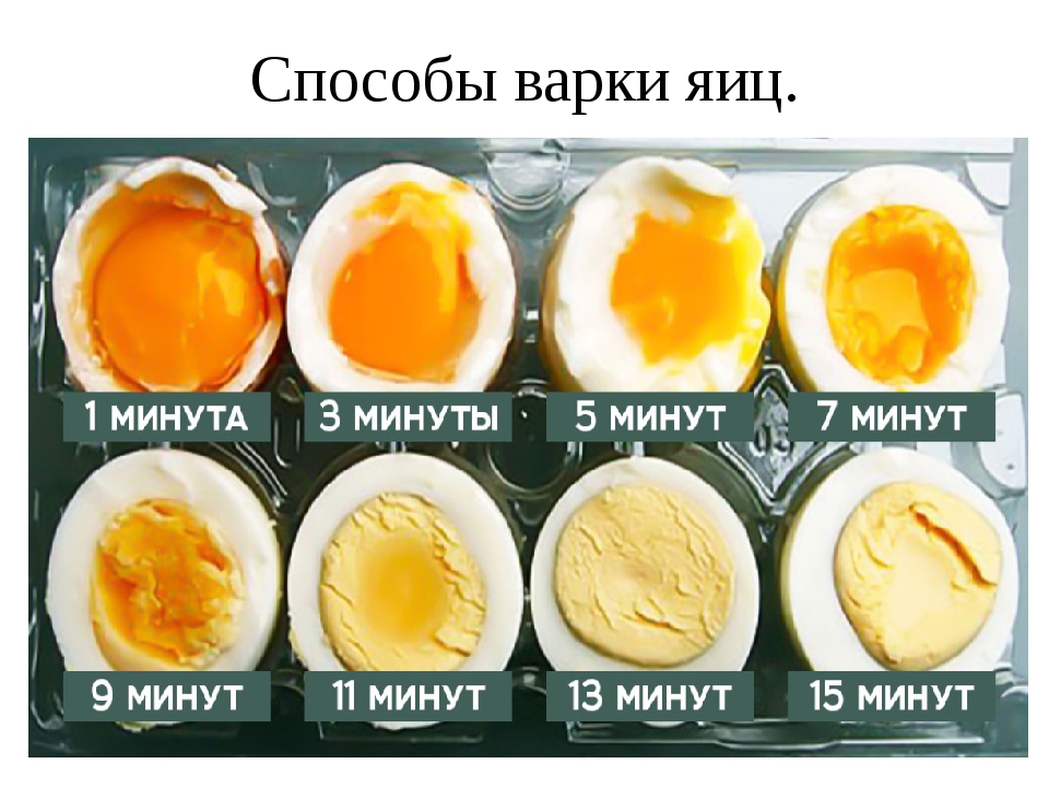 сколько варить яйца по времени