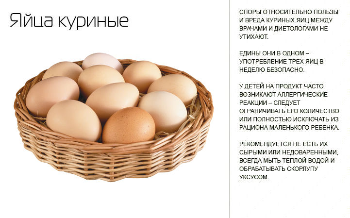Польза и вред перепелиных яиц для здоровья